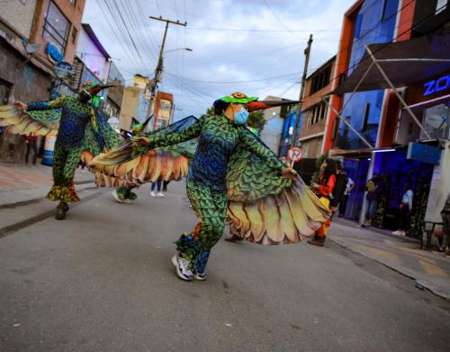Aves cuidadoras del Distrito