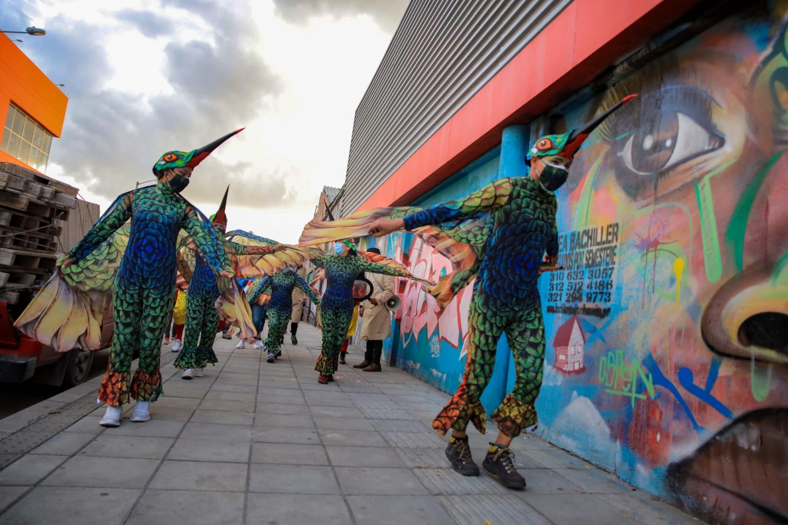 Aves cuidadoras del Distrito