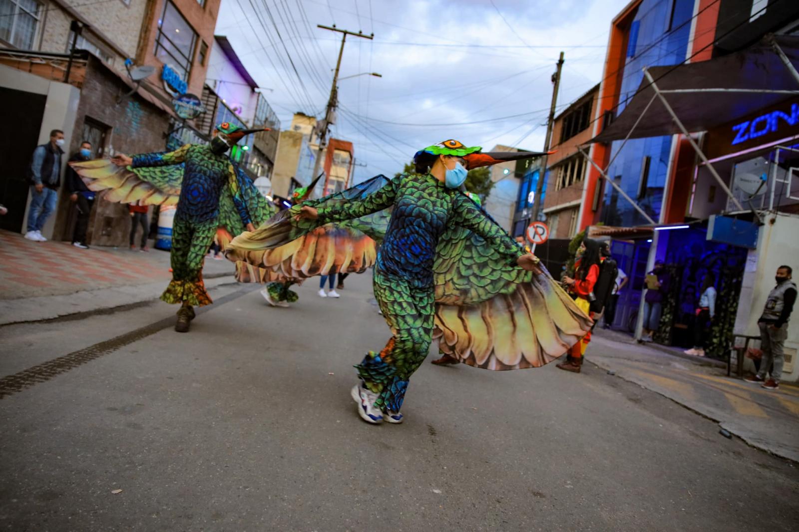 Aves cuidadoras del Distrito